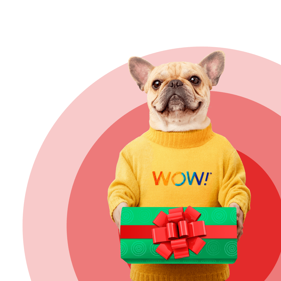 wowzer holiday image desktop